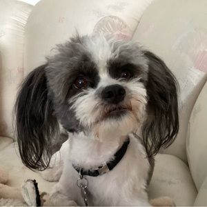 Meet your Posher, Nanette